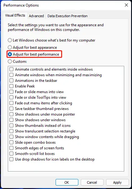 Windows 11 Performance Options