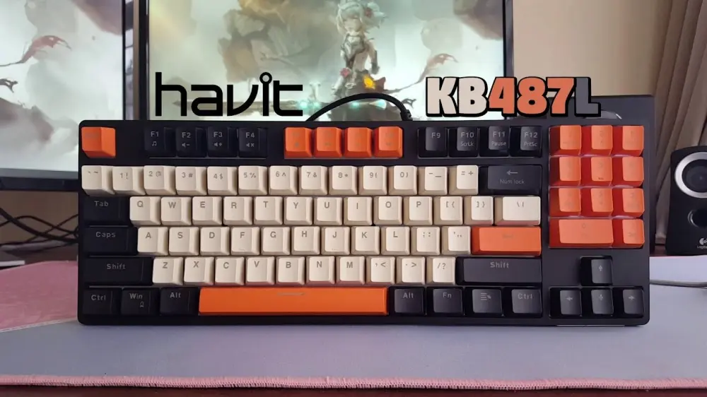 Havit KB487L