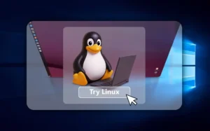 Δοκιμάστε το Linux χωρίς να το εγκαταστήσετε